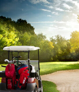 GolfAcc GolfAcc