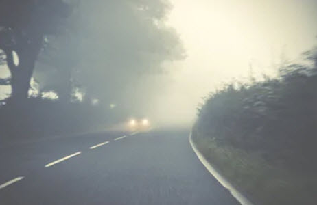 Fog Fog