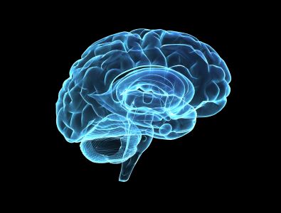 BrainStem